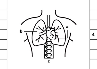 2.10.medicalcases_page_17.jpg